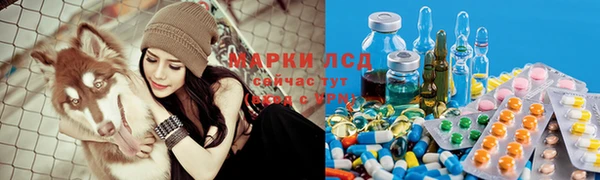 твердый Михайлов