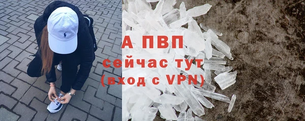 твердый Михайлов