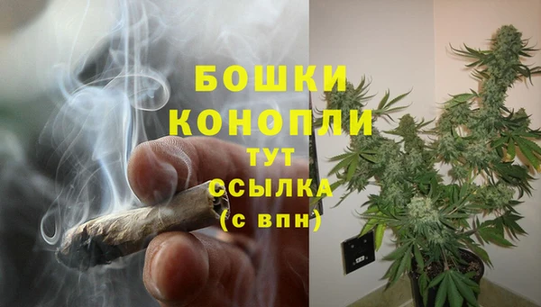 твердый Михайлов