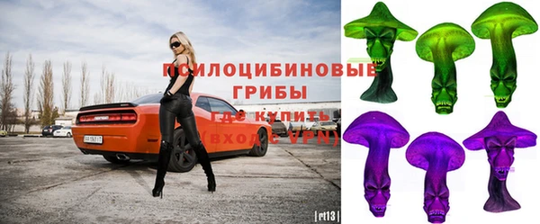 твердый Михайлов