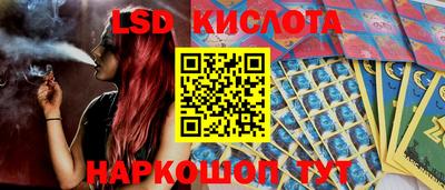 прущие грибы Апшеронск