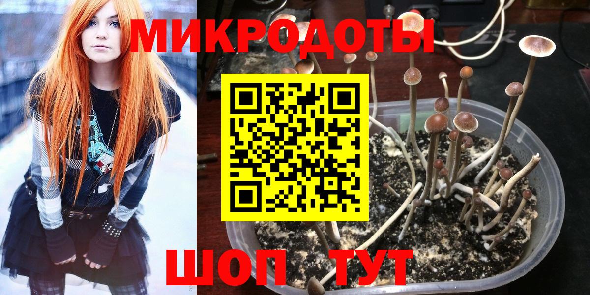 Усинск  хочу наркоту  Вход с VPN  Псилоцибиновые грибы GOLDEN TEACHER  Галлюциногенные грибы Psilocybine cubensis 