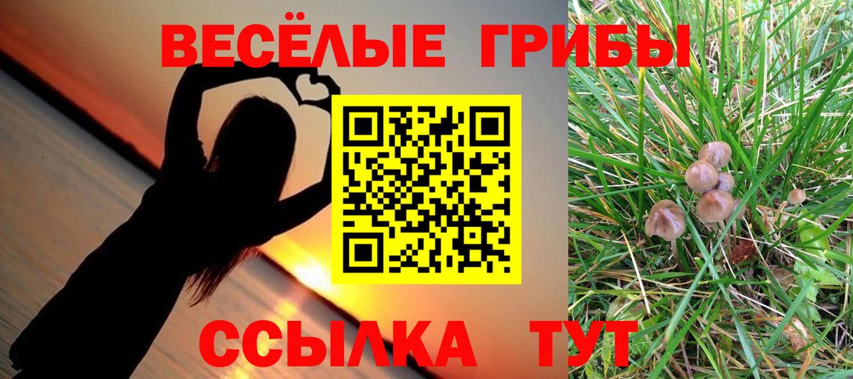 Галлюциногенные грибы Cubensis Усинск