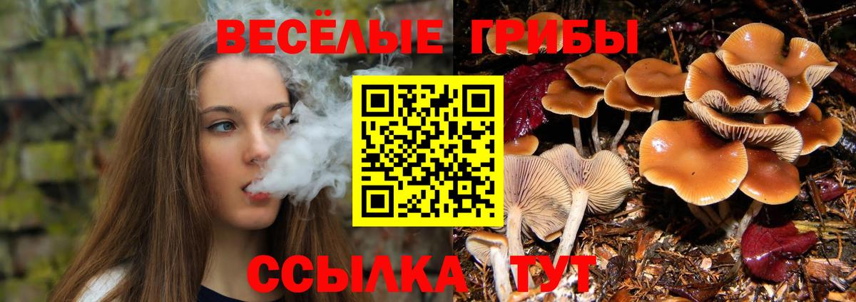 Галлюциногенные грибы Magic Shrooms Усинск